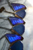 Blue Morpho Wing