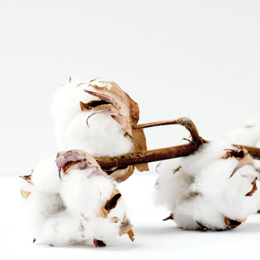 Seersucker Cotton