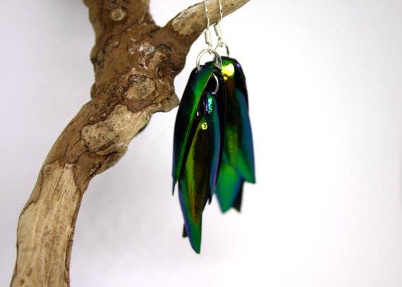 Green Jewel Elytra Beetle Wing Earrings